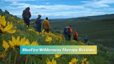 BlueFire Wilderness Therapy